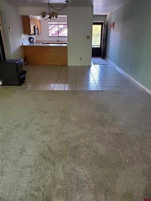 551 Animas View Dr unit 9, Durango, CO 81301 - photo 1