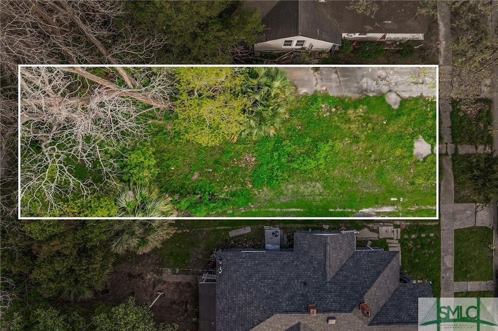 1320 E Duffy St, Savannah, GA 31404 - photo 1