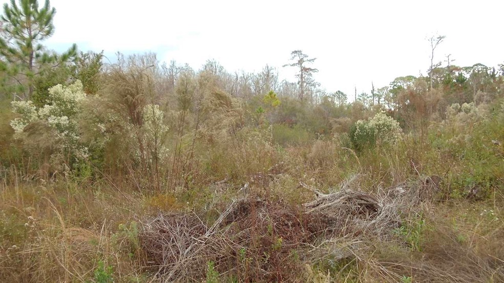 0 Peaceful Ln unit 313172, Crawfordville, FL 32327 - photo 1