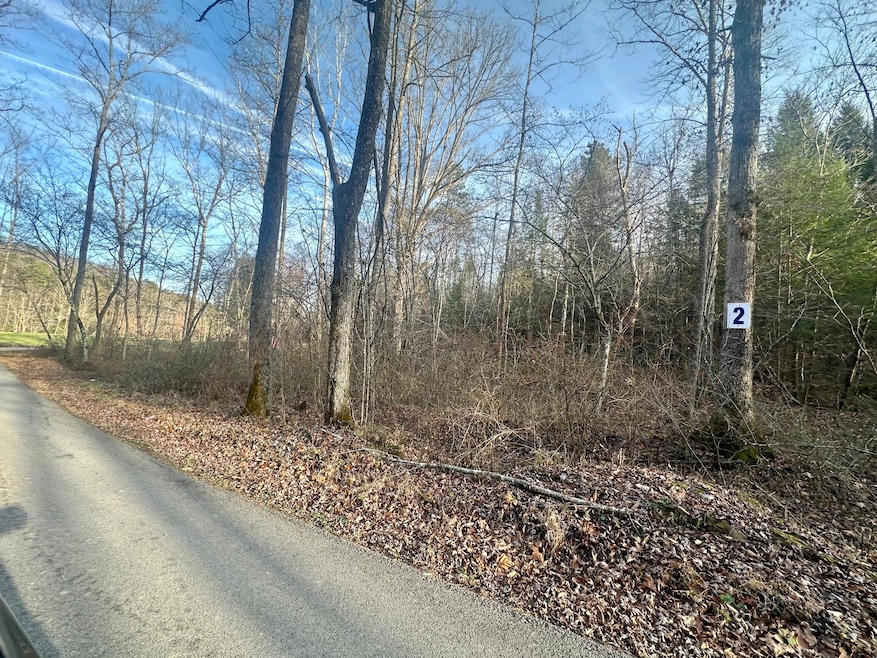Lot 2 Radford Rd, East Bernstadt, KY 40729 - photo 1