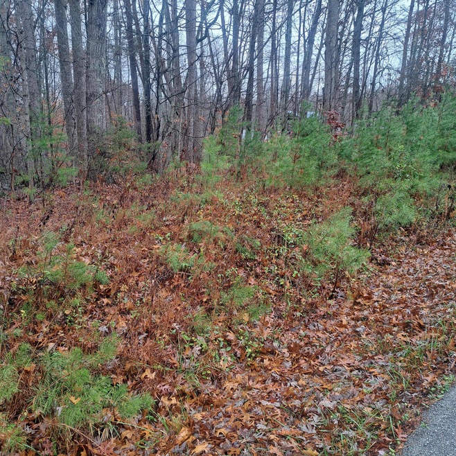 8100 Somerset Rd, London, KY 40741 - photo 1