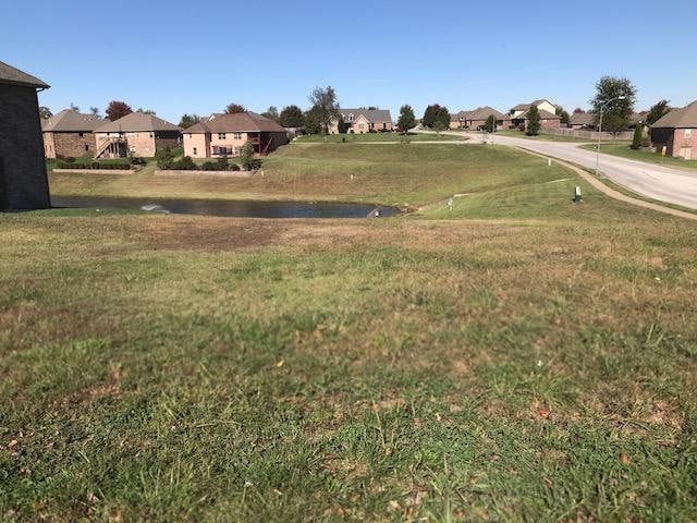 809 E Twin Maple Ct, Nixa, MO 65714 - photo 1