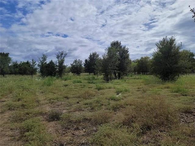 2850 County Road 466, Elgin, TX 78621 - photo 1