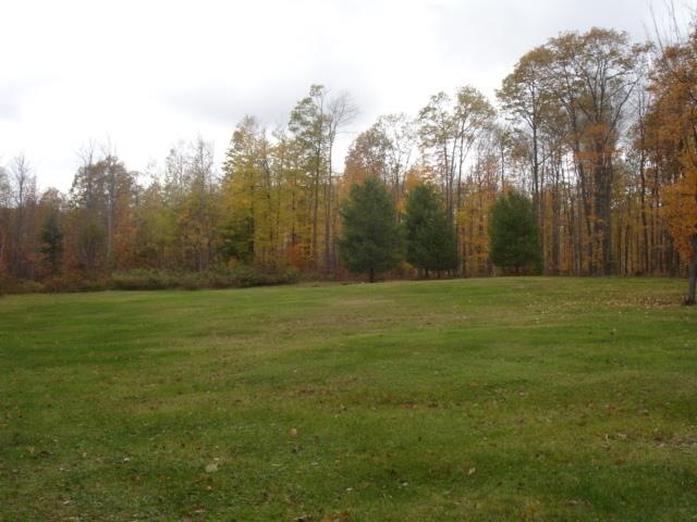 Cleared Area