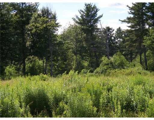 Land/Lot.