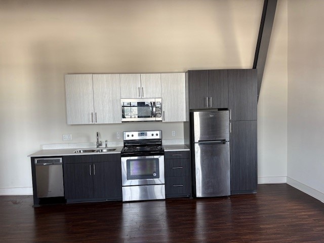 Modern Kitchen
