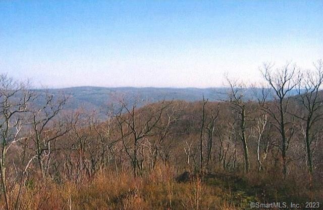 0 Kenmont Rd unit 170259697, Kent, CT 06757 - photo 1