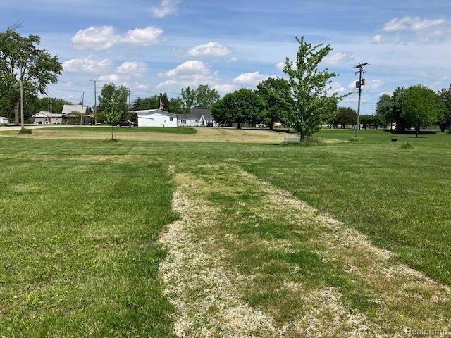 TBD First, Minden City Vlg, MI 48456 - photo 1