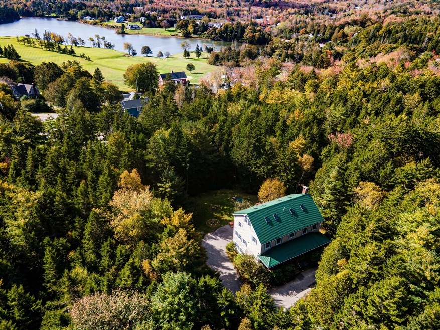 Aerial Overview