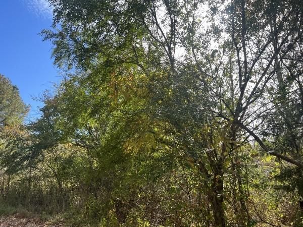 1 Clyde Webb Rd, Tennessee Ridge, TN 37178 - photo 1