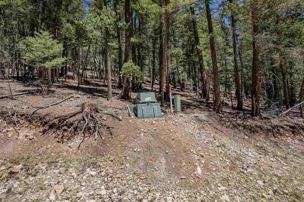 0 Forest View Rd unit 171893, Cloudcroft, NM 88317 - photo 1