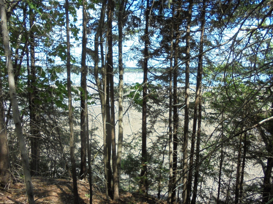 DSC00696