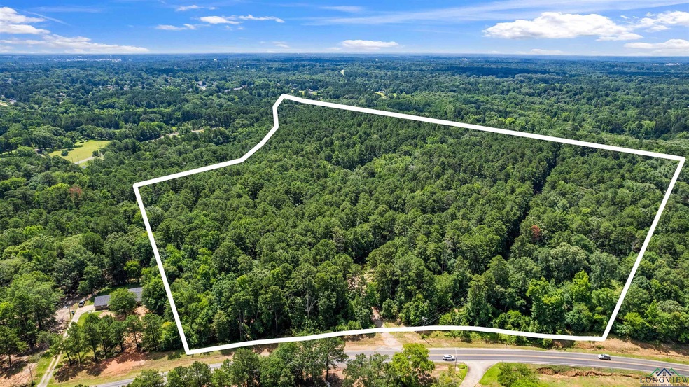 View of property location with a forest and property boundaries highlighted