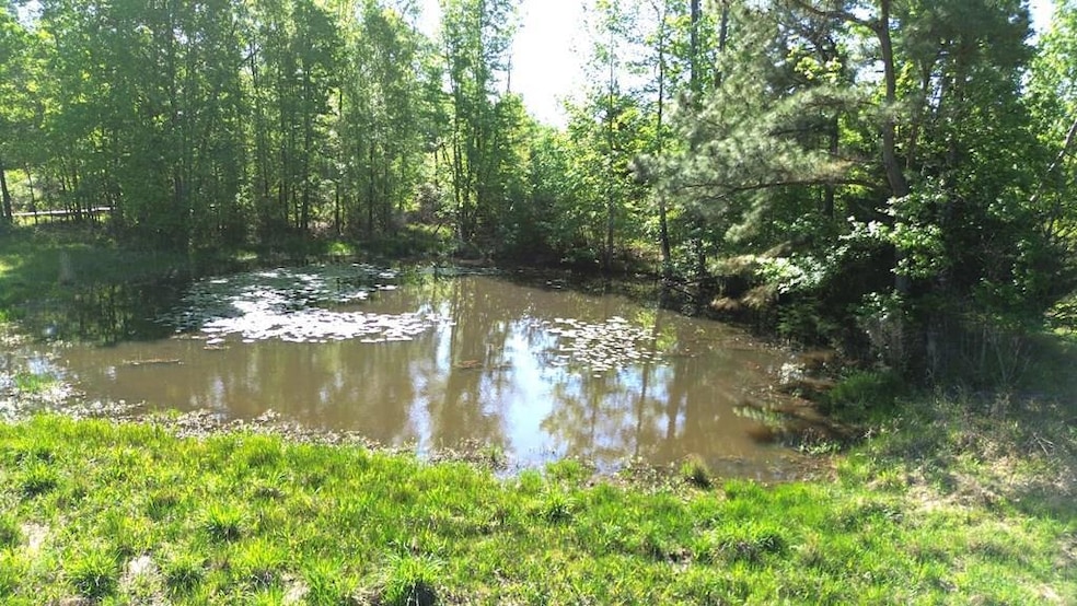 191 Fm 587, Kennard, TX 75847 - photo 1