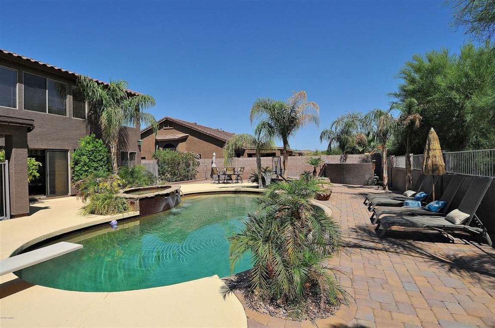 Backyard full view