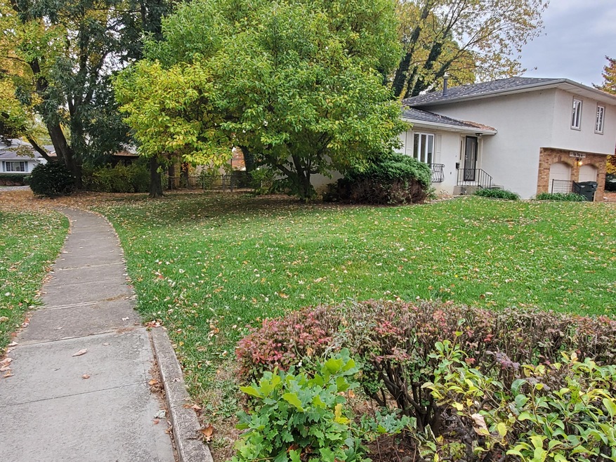 Side Yard