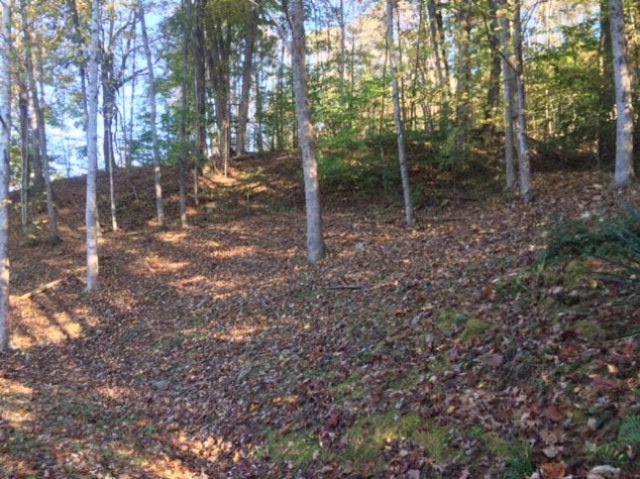 Main View