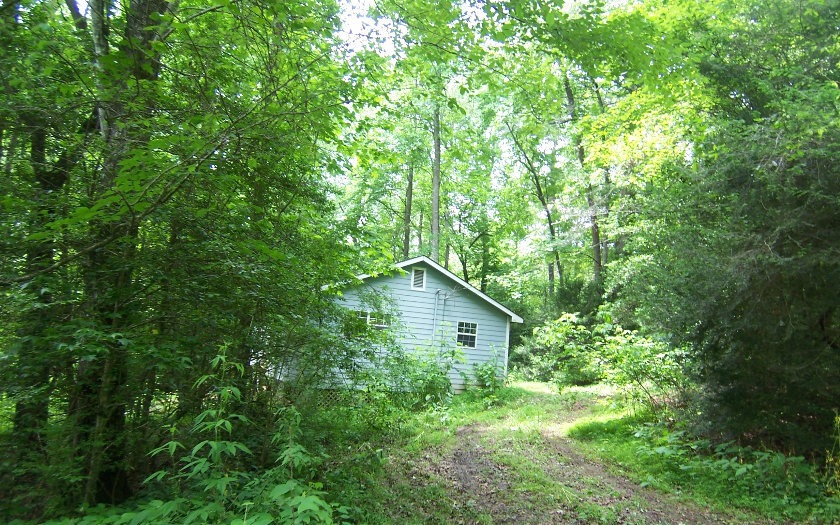 Main View