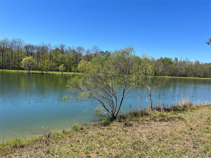 Lot 1 N Leahmon Ln, Mathews, AL 36052 - photo 1