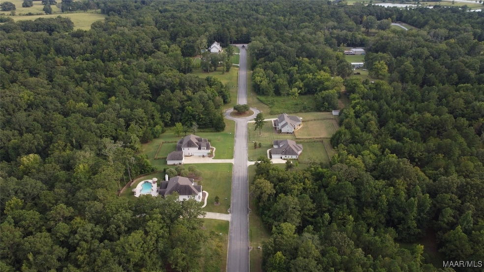 1 Doe Run Ct, Pike Road, AL 36064 - photo 1