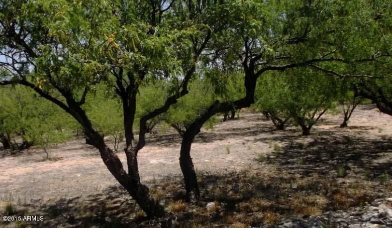 NEW BIP 05-06-15 LOT#41 ARIZONA#549 4