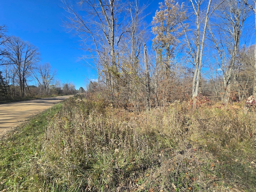 V/L E Cadillac Rd, Merritt, MI 49667 - photo 1