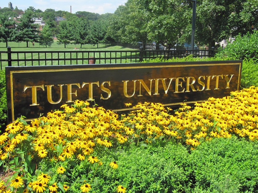 31 Wareham St unit 2F, Medford, MA 02155 - photo 1