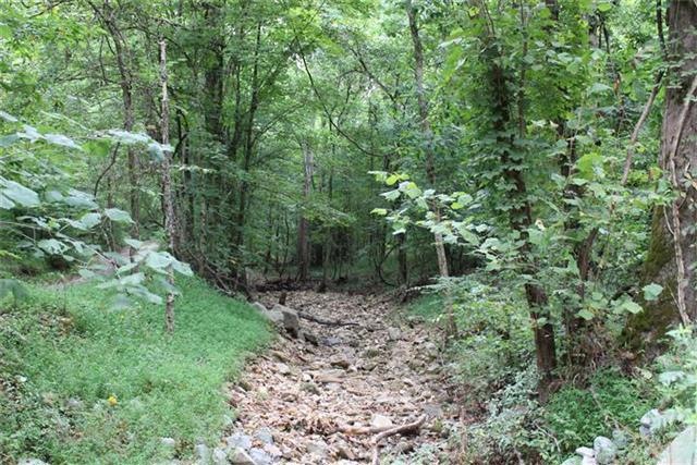 0 Freeman Fielder Rd unit RTC1662111, Stewart, TN 37175 - photo 1