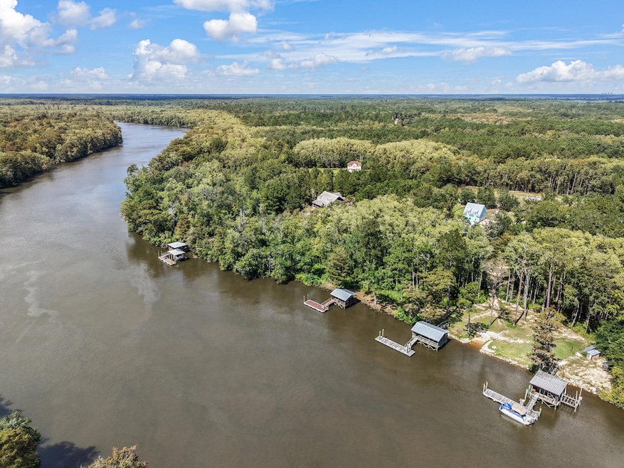 243 Belladonna Ct, Georgetown, SC 29440 - photo 1