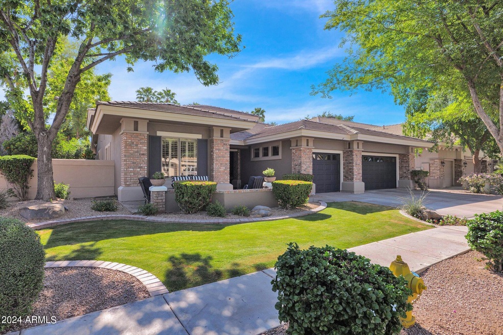 65-web-or-mls-P1025346