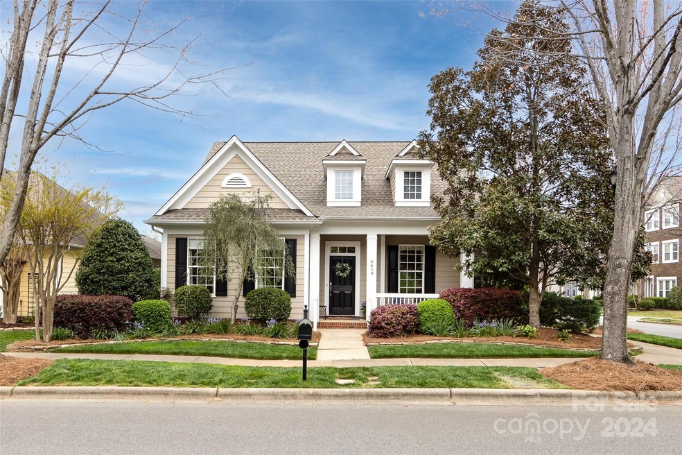 Welcome to Brighton Park!