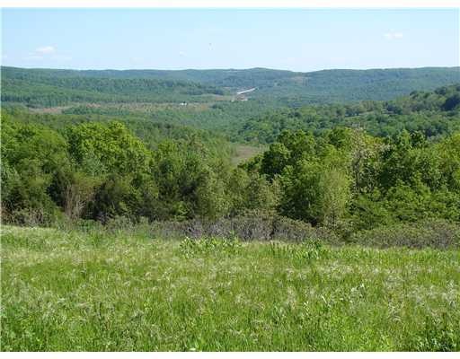 0 Devils Den Hwy 74 Rd unit 631683, Winslow, AR 72959 - photo 1