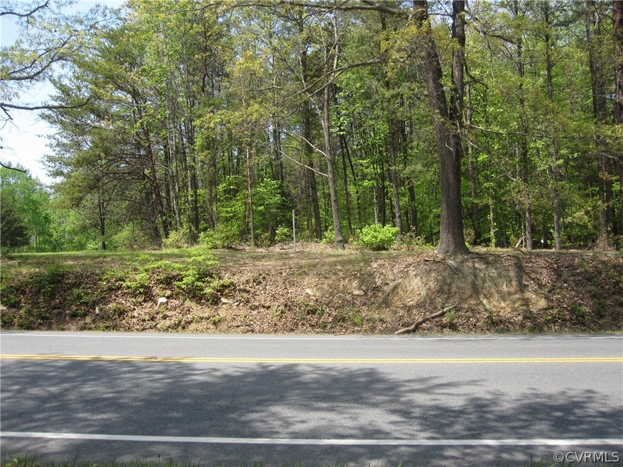 0 Courthouse Rd unit 1816574, Louisa, VA 23093 - photo 1