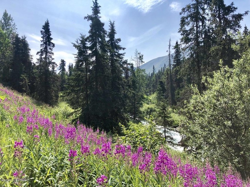 Stunning Mountain Setting