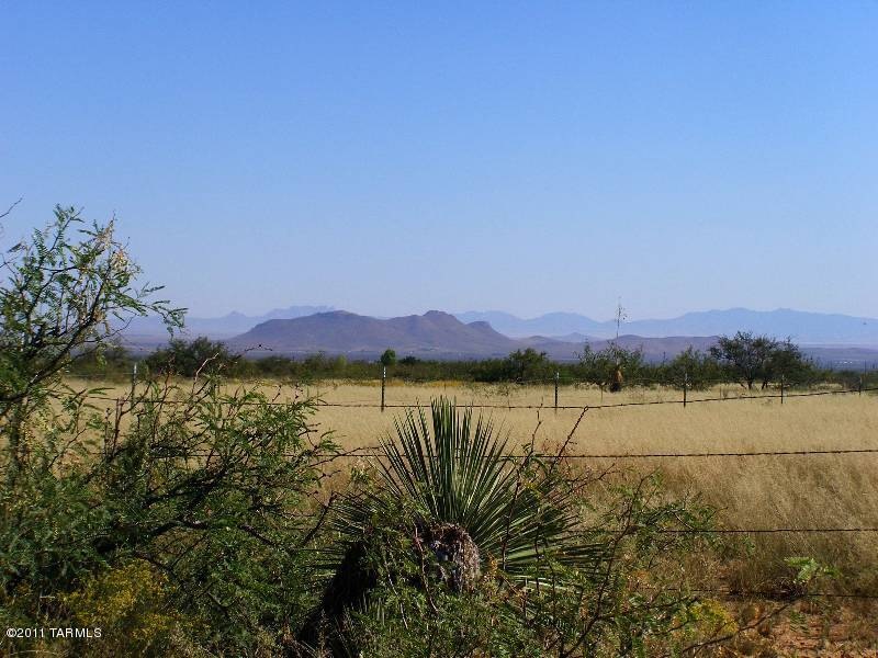 Looking East