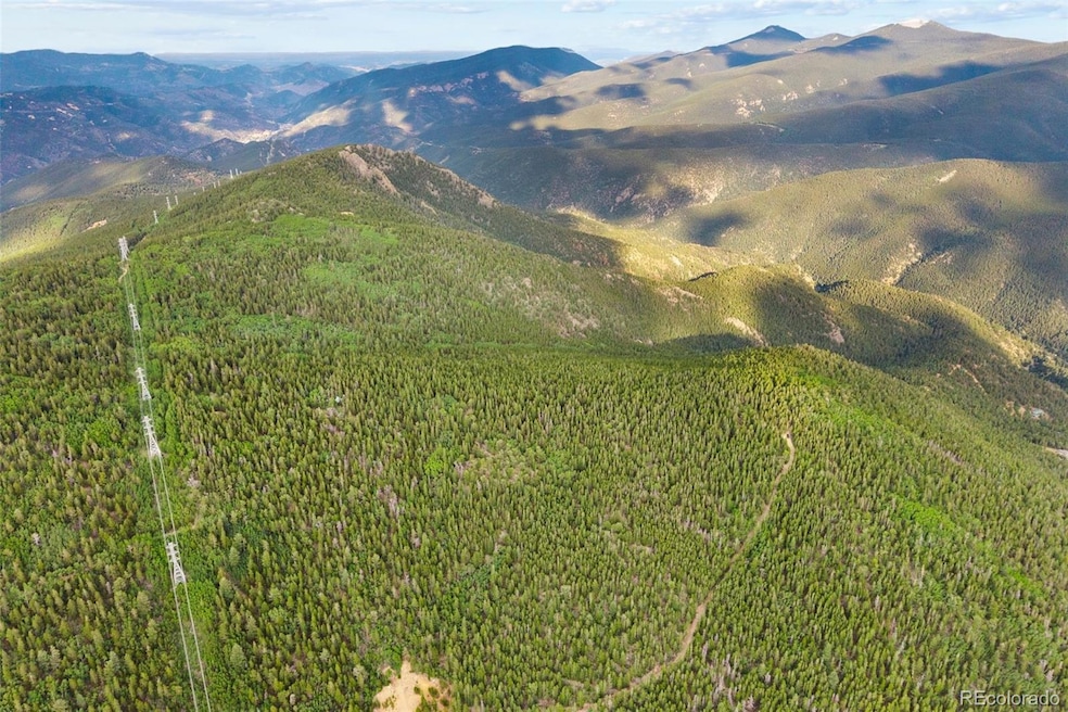 0 Lamartine Rd unit REC1819231, Idaho Springs, CO 80452 - photo 1