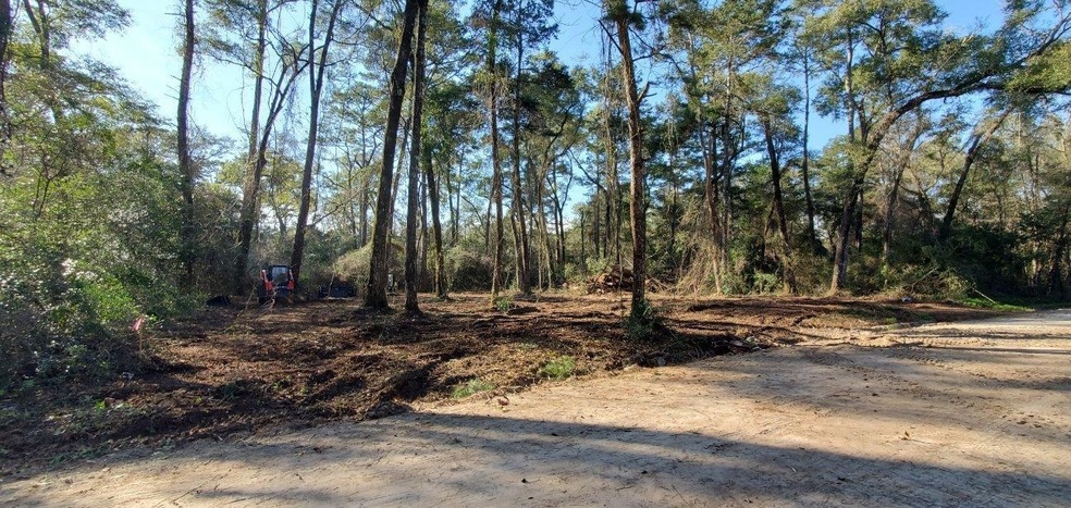 xxx Chippewa Rd, Crawfordville, FL 32327 - photo 1