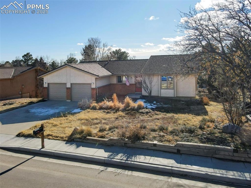 Incredible mature xeriscape yard