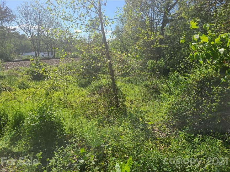 TBD Shannon Dr, Asheville, NC 28803 - photo 1