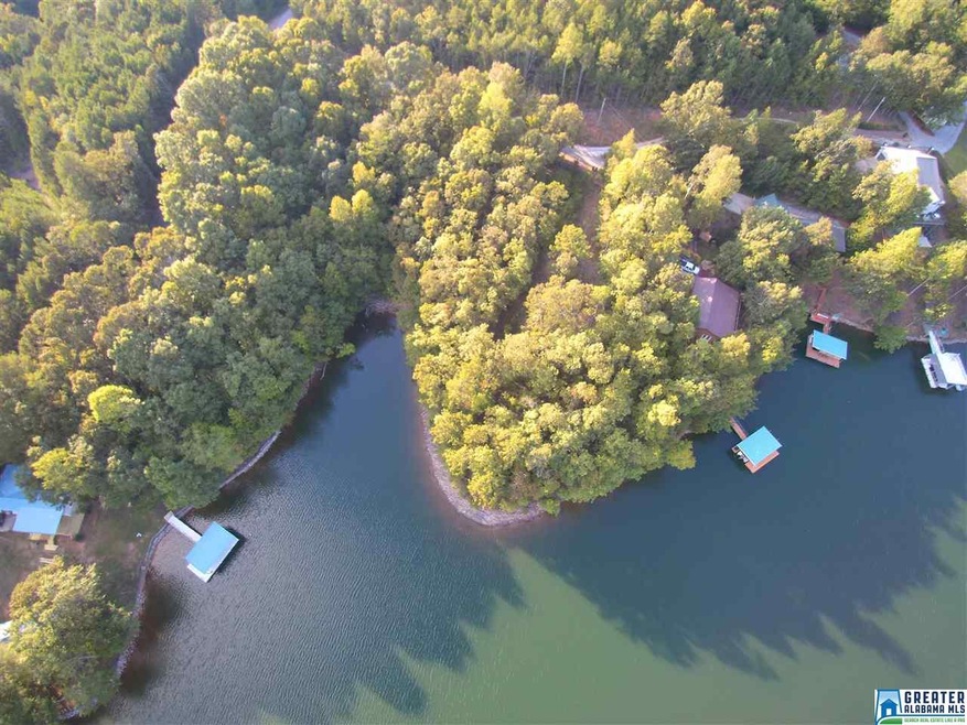 0 County Road 3291 unit 762028, Wedowee, AL 36278 - photo 1