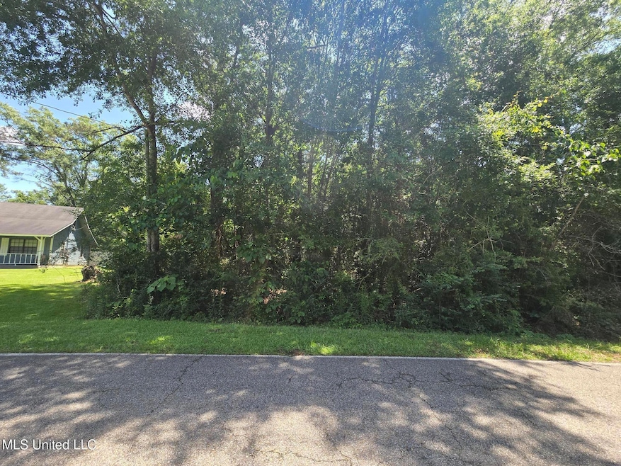 116 E Sunnybrook Rd, Carriere, MS 39426 - photo 1