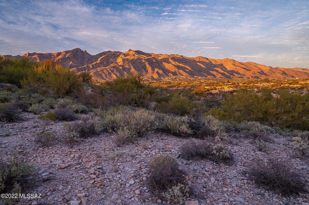 5300 N Camino Sumo unit 19, Tucson, AZ 85718 - photo 1