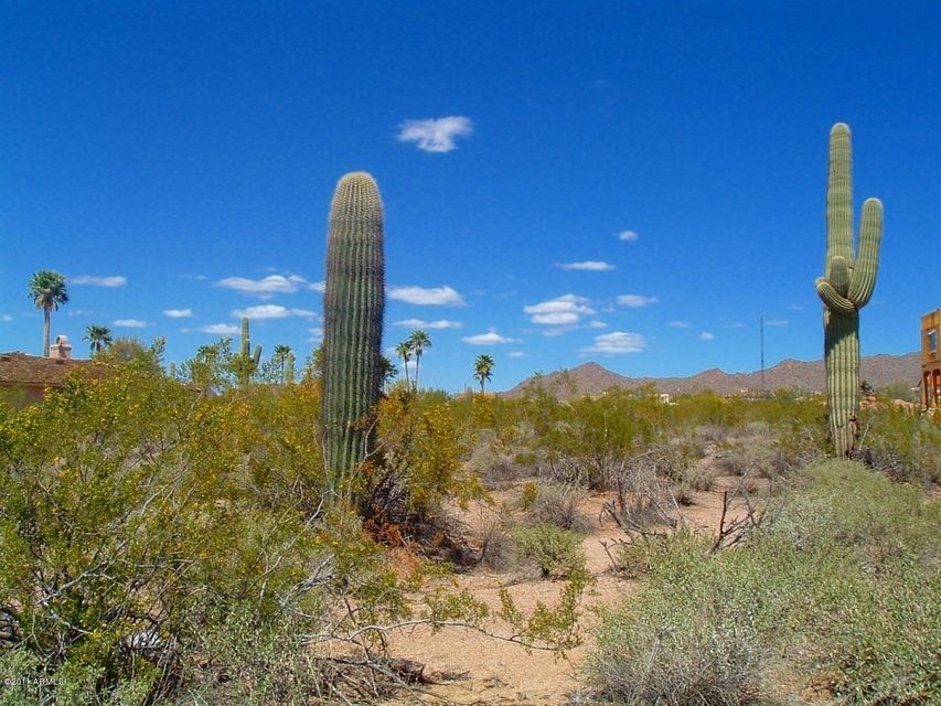 1.02 Acre Land in NE Mesa