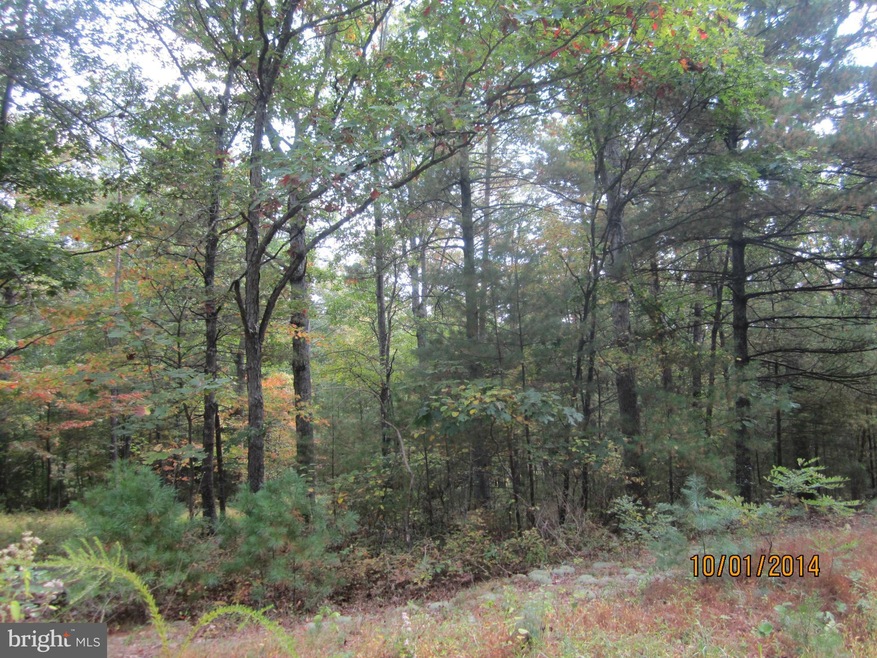 0 Alum Springs Rd unit 1003215934, Basye, VA 22810 - photo 1