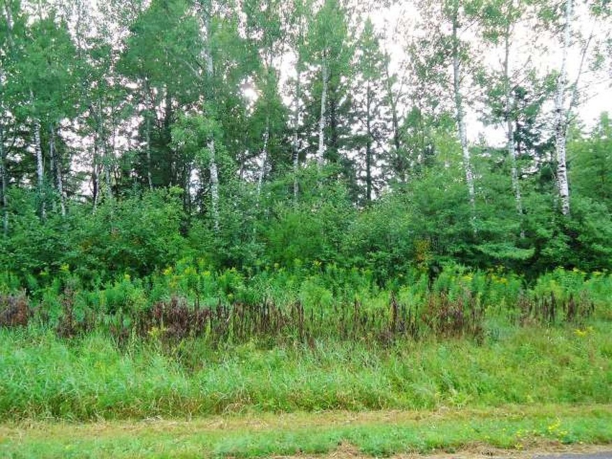 ON Phalzgraff Rd, Tomahawk, WI 54487 - photo 1
