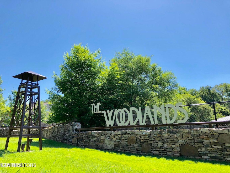 3720 Spruce Ridge Way unit 2211, Knoxville, TN 37920 - photo 1