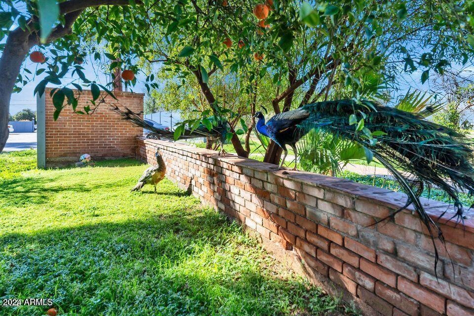 4004 E Mckellips Rd unit 5-201, Mesa, AZ 85215 - photo 1