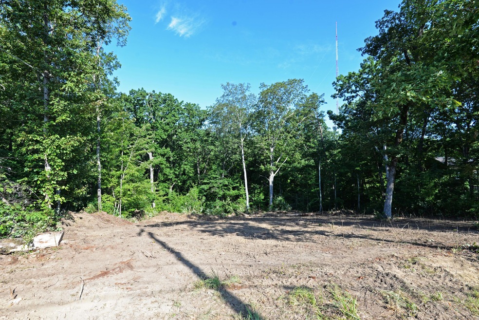 Lot view (partially cleared) (med)