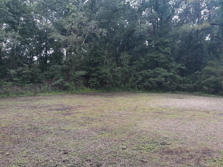 1869 Richmond St, Charleston, SC 29407 - photo 1