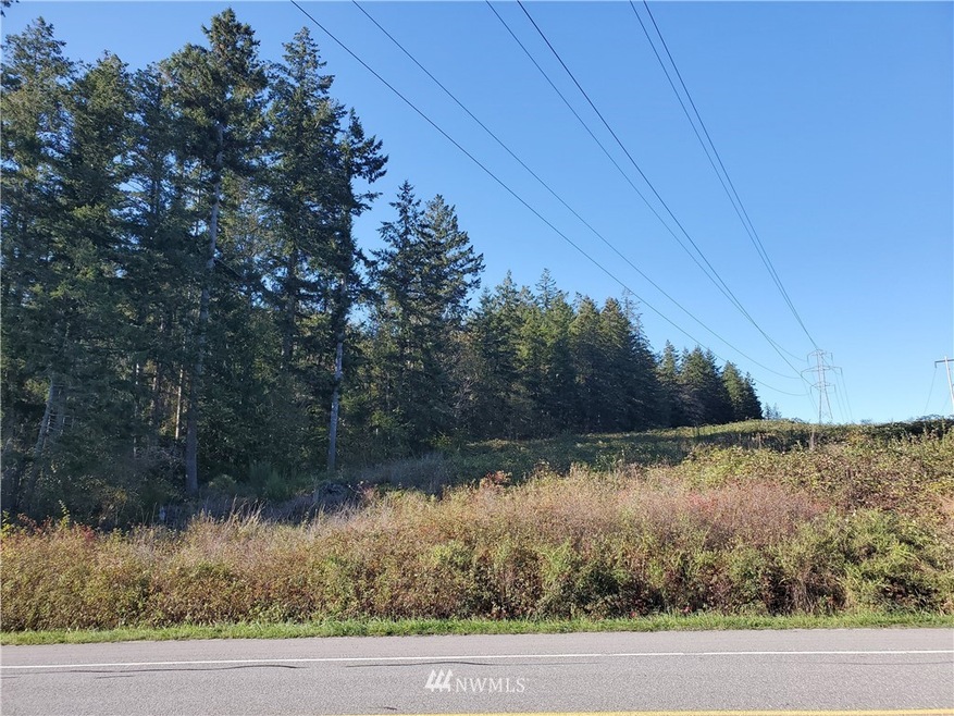 0 Center Rd unit 1674675, Quilcene, WA 98376 - photo 1